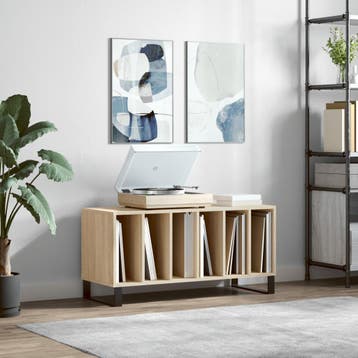vidaXL Platenkast 100x38x48 cm bewerkt hout sonoma, Huis en Inrichting, Woonaccessoires | Cd- en Dvd-rekken, Verzenden, Nieuw