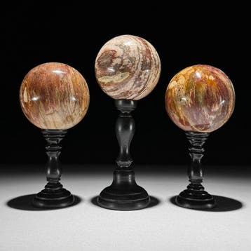 Magnifique ensemble de 3 sphères en bois pétrifié sur des, Antiek en Kunst