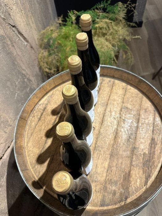 2020 Von Der Vogelwaide - Wachau - 6 Bouteilles (0,75 L), Collections, Vins
