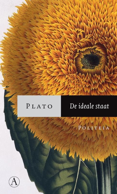 Athenaeum pocket De ideale staat / Athenaeum pocket Plato, Boeken, Literatuur, Zo goed als nieuw, Verzenden