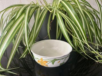 Villeroy & Boch - Kom - Porselein