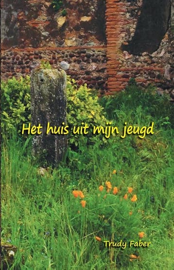Het huis uit mijn jeugd 9789082273519 Trudy Faber, Verzenden, Gelezen, Trudy Faber