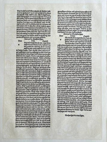 Albrecht Dürer (1471-1528), after - Woodcut - Apocalypsis