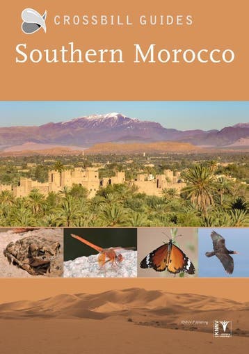 Crossbill Guide Southern Morocco | Martin Pitt | Nieuw, Verzenden, Martin Pitt