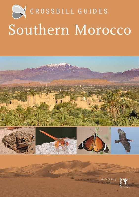 Crossbill Guide Southern Morocco | Martin Pitt | Nieuw, Livres, Livres Autre, Envoi