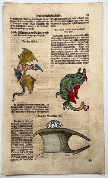 Conrad Gessner [d1565]; folio, 4 woodcuts - Monster Ray,