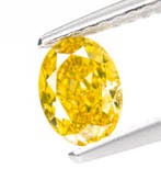 1 pcs Diamant (Natuurlijk gekleurd) - 0.65 ct - Ovaal -