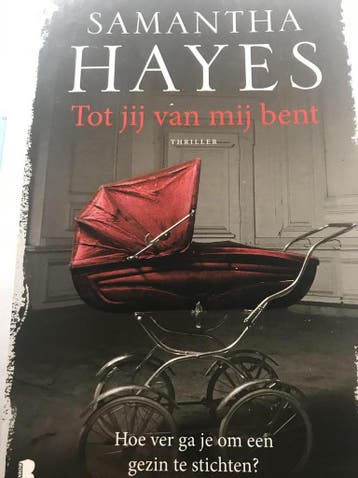 Tot jij van mij bent 9789022581759 Samantha Hayes, Verzenden, Samantha Hayes