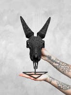 Prix sans réserve - Crâne de chèvre noir véritable sculpté à