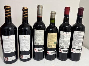 2007 Chivite expresión varietal, Chivite Merlot 2007,