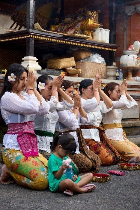 Geen reserveprijs - Witte koe-schedel met Boheemse, Antiquités & Art, Art | Objets design