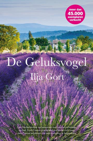 De Geluksvogel 9789083425535 Ilja Gort, Boeken, Verzenden, Zo goed als nieuw, Ilja Gort