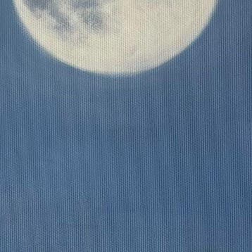 Charlie - escale au clair de lune