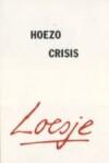 Hoezo crisis 9789022987957 Loesje, Boeken, Romans, Gelezen, Verzenden