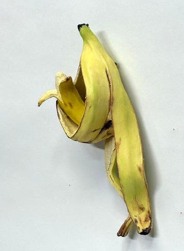 Koji Kasatani - Banana Newborn