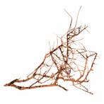 Scaping Twigs - details, Verzenden, Nieuw