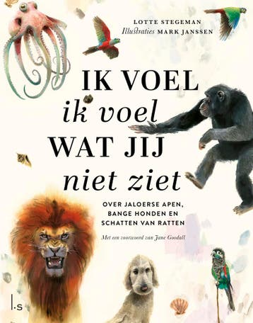 Ik Voel Ik Voel Wat Jij Niet Ziet | Lotte Stegeman | Nieuw, Verzenden, Nieuw, Lotte Stegeman
