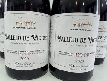 2020 Dominio de Casalta, Vallejo de Victor Garnacha Alta