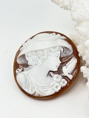 CASSIS MADAGASCARIENSIS - Cameo - Handgesneden camee