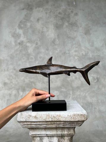 sculptuur, NO RESERVE PRICE - Bronze Hammerhead Shark on a