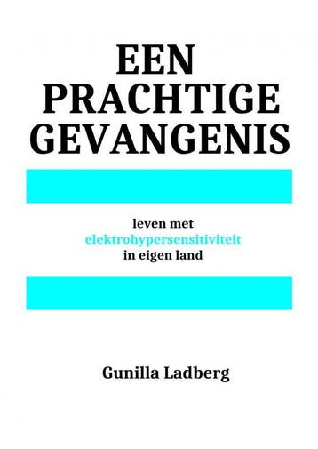 Een prachtige gevangenis 9789403683331 Gunilla Ladberg, Verzenden, Zo goed als nieuw, Gunilla Ladberg