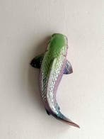 Vanessa Bonino - Koi carp