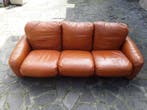 Busnelli - Arrigo Arrigoni - Piumotto - Sofa - Leder