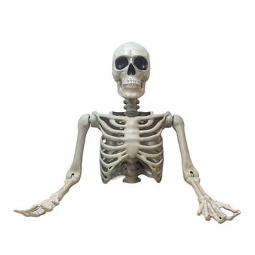 Halloween Decoratie Skelet Torso Tom 104cm, Nieuw