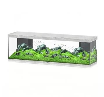 AQUATLANTIS Aquarium Splendid Ultra - Beton, Verzenden, Nieuw