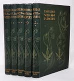 F. Edward Hulme - Familiar Wild Flowers (With 200 Colour