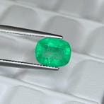 Zonder minimumprijs Smaragd - 3.35 ct - International, Nieuw
