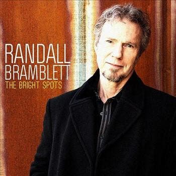 Randall Bramblett - The Bright Spots, Cd's en Dvd's, Vinyl | Pop, Gebruikt, Verzenden