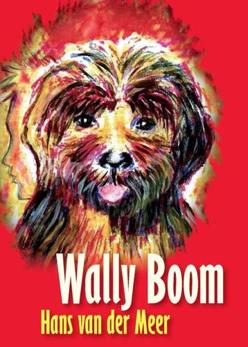 Wally Boom 9789085481874 Hermien van der Meer, Verzenden, Gelezen, Hermien van der Meer