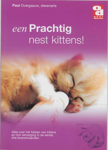 Een prachtig nest kittens! / Over Dieren / 0028 P. Overgaauw, Verzenden, Zo goed als nieuw, P. Overgaauw