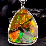 Extrêmement rare - magnifique gemme dammolite - pendentif
