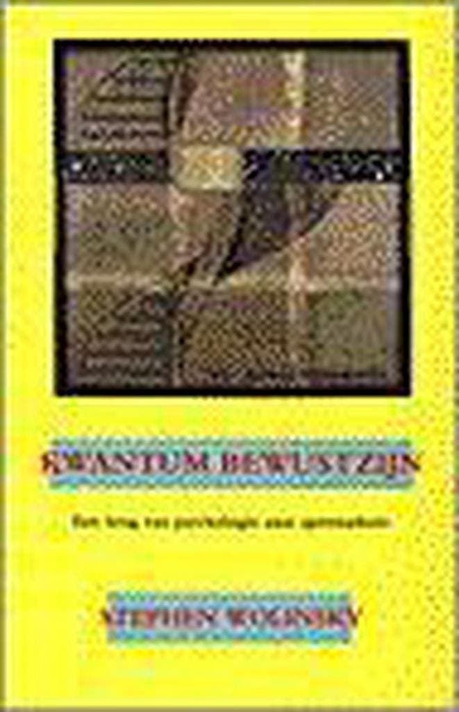 KWANTUM BEWUSTZIJN 9789069633824 S. Wolinsky, Boeken, Esoterie en Spiritualiteit, Gelezen, Verzenden