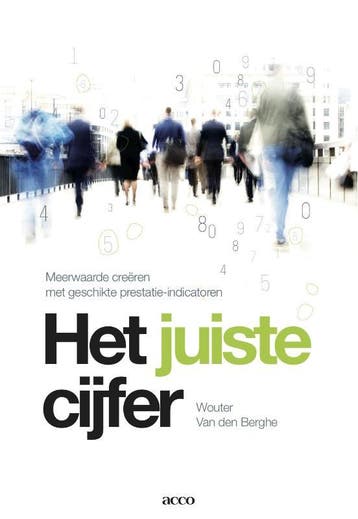 Het juiste cijfer 9789033485879 Wouter van den Berghe, Boeken, Economie, Management en Marketing, Verzenden, Gelezen, Wouter van den Berghe