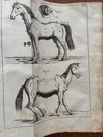 Garsault - Le nouveau Parfait Maréchal - 1771, Antiek en Kunst