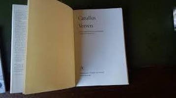 Verzen / Baskerville serie 9789025306359 Catullus, Verzenden, Catullus