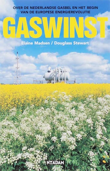 Gaswinst 9789046802410 E. Madson, Livres, Verzenden, E. Madson