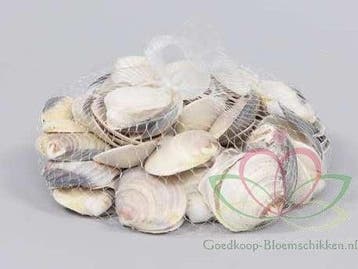 Dosinia Discus schelpen ca. 350 gram, Nieuw