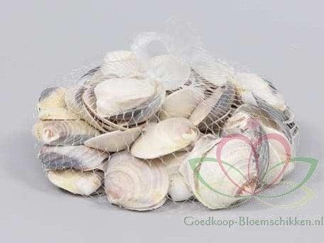 Dosinia Discus schelpen ca. 350 gram, Hobby & Loisirs créatifs, Bricolage