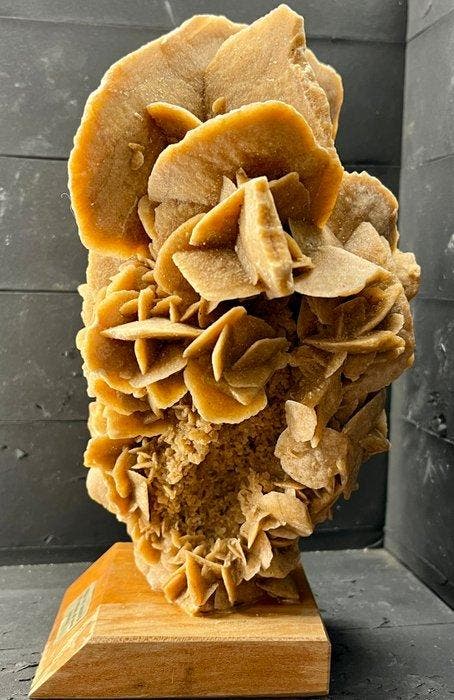woestijnroos Ruw - Hoogte: 19 cm - Breedte: 11 cm- 1147 g -, Verzamelen, Mineralen en Fossielen