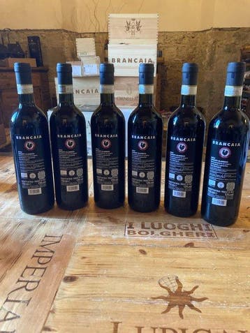 2024 Brancaia - Chianti Classico - 6 Flessen (0.75 liter), Nieuw