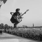 Green Day - 8-CD Set From / Punk Rock Goes Mainstream -