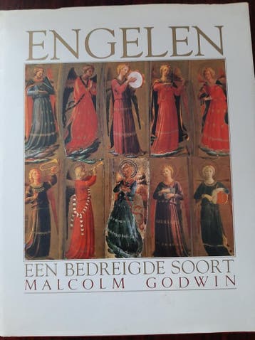 ENGELEN 9789061209805 M. Godwin, Boeken, Esoterie en Spiritualiteit, Verzenden, Gelezen, M. Godwin