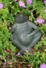 sculptuur, Relaxing Frog - 2.7 kg - 25 cm - Brons