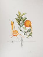 Salvador Dali (1904-1989) - Flordali : Pamplemousse érotique