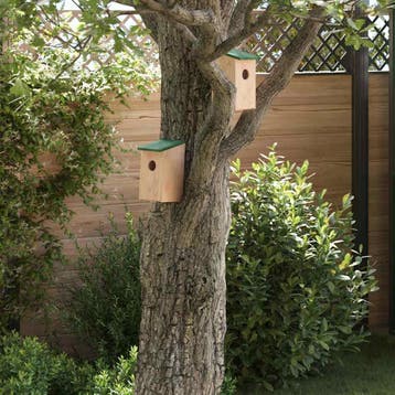vidaXL Vogelhuisjes 10 st 12x12x22 cm massief vurenhout, Verzenden