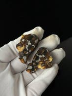 Sericho meteoriet Pallasiet - 52 g - (2), Verzamelen